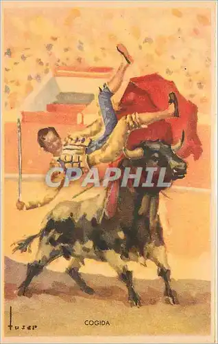 Cartes postales Luser Cogida Corrida