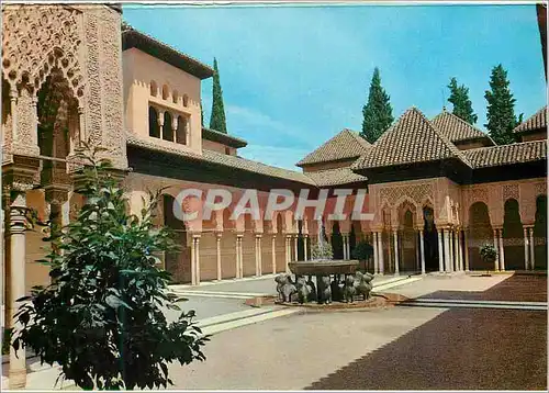 Cartes postales moderne Granada Alhambra Serie Cour des Lions