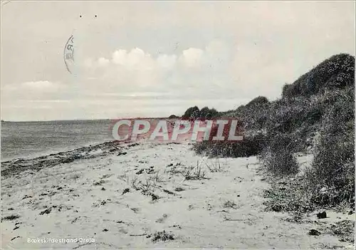 Cartes postales moderne Boekskildestrand Dreja