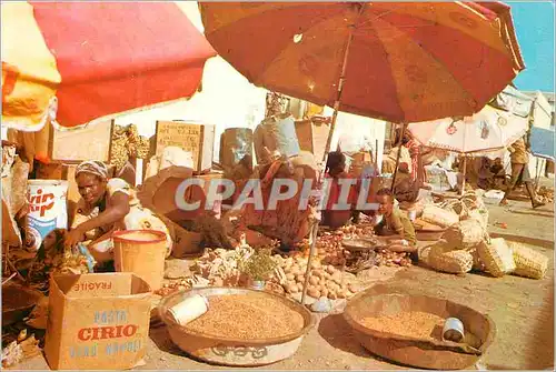 Moderne Karte Etalages typique Djibouti