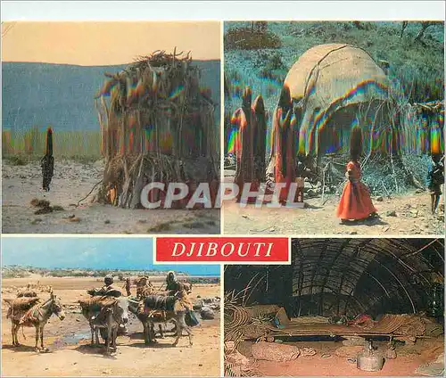 Cartes postales moderne Djibouti Republique de Djibouti Campement nomade Ane Donkey