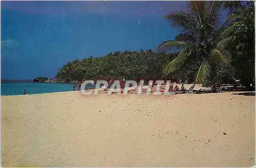 Cartes postales moderne Playa Grande Negua Rep Dom
