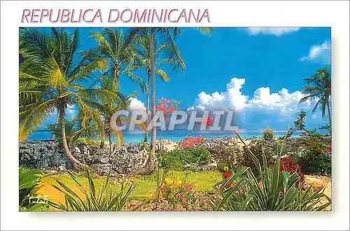Cartes postales moderne Las Galeras Republica Dominicana