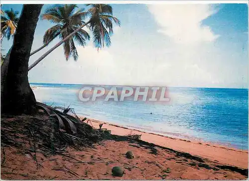 Cartes postales moderne Playa de las Terrenas Prov Samana Isla de Santo Domingo