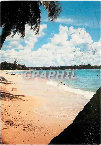 Cartes postales moderne Playas de la Isla Domingo