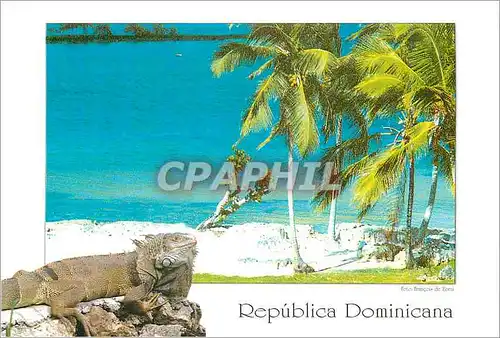 Cartes postales moderne Republica Dominicana Iguana