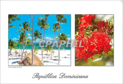 Cartes postales moderne Republica Dominicana