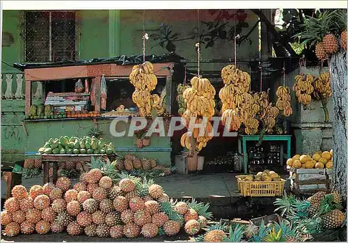 Cartes postales moderne Mercado Republica Dominicana