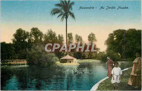 Cartes postales Alexandrie Au Jardin Nouzha