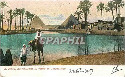 Cartes postales Le Caire Les Pyramides au temps de l inondation