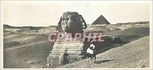 Ansichtskarte AK Egypte Le Sphinx