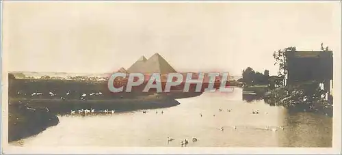 Ansichtskarte AK Egypte Paysage ave les Pyramides de Guizch
