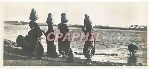 Cartes postales Egypte Femmes Indigenes poiteuses d eau du Nil