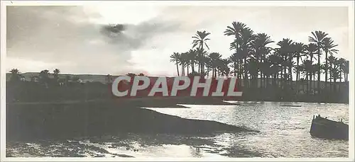 Cartes postales Le Caire Paysage aux bords du Nil