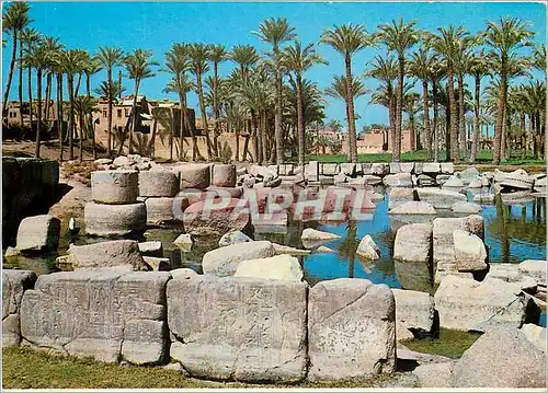 Cartes postales moderne Ruines du grand temple de Ptah Ancien Empire