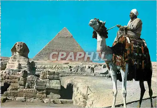 Moderne Karte Tourist Guide on Camel near the Great Sphinx