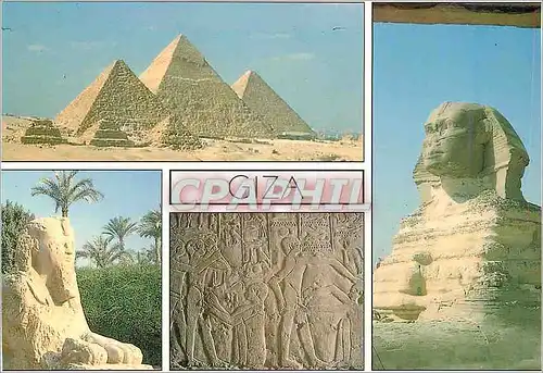 Cartes postales moderne The Alabaster Sphinx Memphis