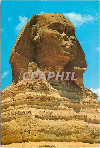 Cartes postales moderne Giza Le tete du grand Sphinx