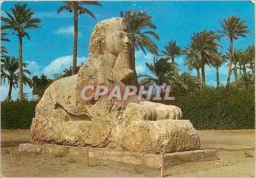 Cartes postales moderne Giza The Sphinx of Sakkara