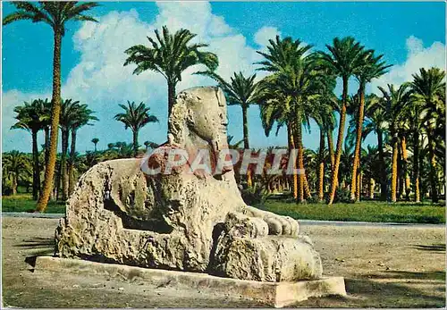 Cartes postales moderne Memphis Die Alabaster Sphinx xviii Dynastie