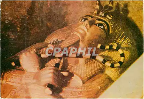 Cartes postales moderne Tomb of King Tut Ankh Amun Third Coffin containing the kings mummy