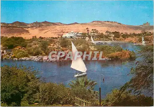 Cartes postales moderne Asswan Beautiful view of the Nile at Asswan
