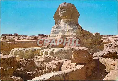 Cartes postales moderne Giza The Sphinx