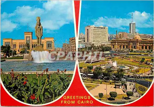 Cartes postales moderne Greetings from Cairo Souvenirs From Egypt
