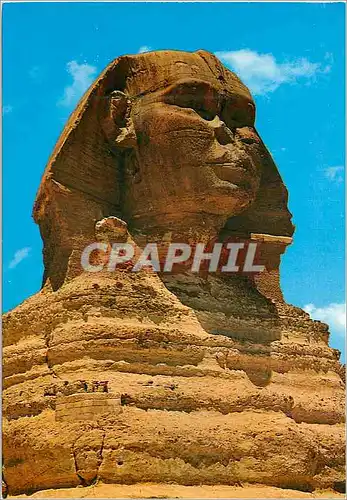 Cartes postales moderne Giza La tete du grand Sphinx