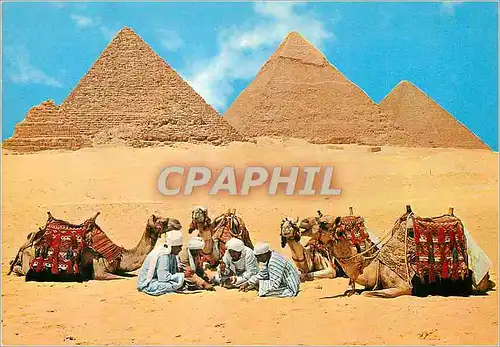 Cartes postales moderne Giza Repos pres des Pyramides