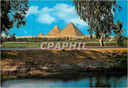 Cartes postales moderne Giza Les Pyramides