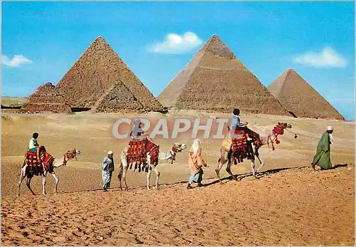Cartes postales moderne Touristes aupres des Pyramides de Gizeh