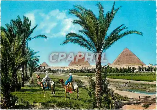 Moderne Karte The Giza Pyramid Group