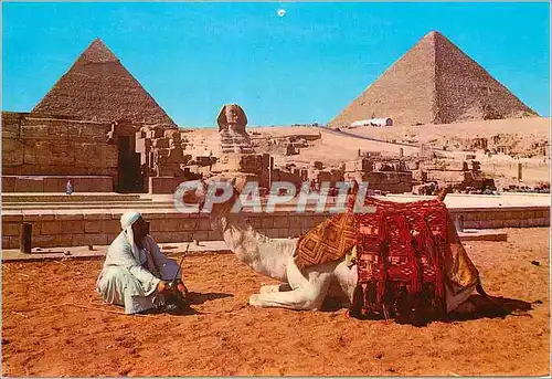 Cartes postales moderne Giza The Sphinx and the Pyramids