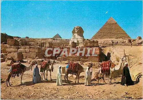 Cartes postales moderne Giza The Sphinx and the Pyramids of Cheops and Chaprens