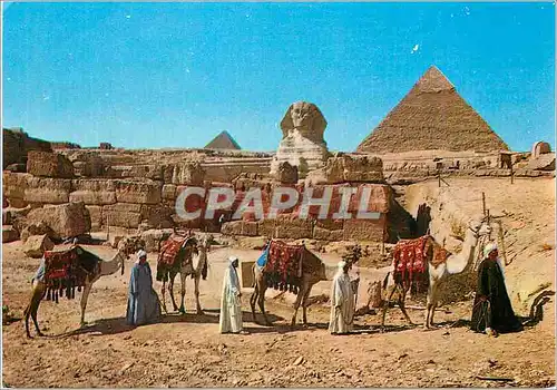 Moderne Karte Giza The Sphinx and the Pyramids of Cheops and Chaprens