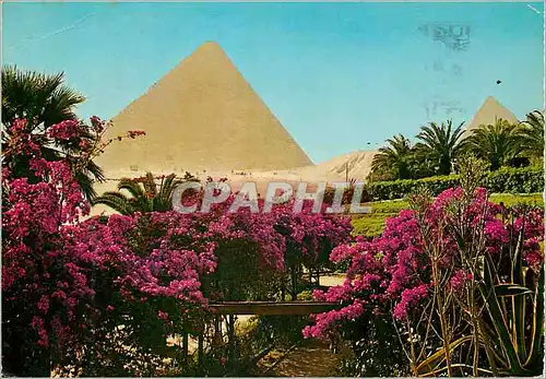 Cartes postales moderne Giza Cheops Pyramid