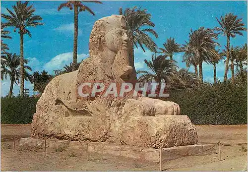 Cartes postales moderne Giza The Sphinx of Sakkara