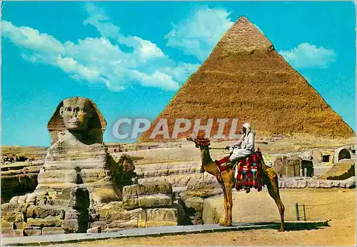 Cartes postales moderne The Great Sphinx of Giza and Khefren Pyramid