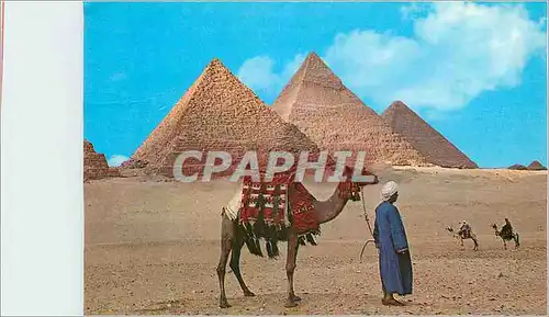 Cartes postales moderne Les Pyramides de Gizeh