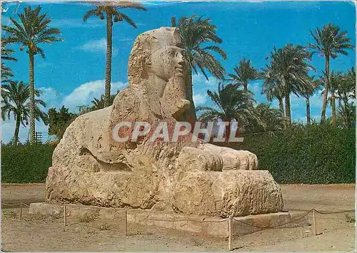 Cartes postales moderne Giza The Sphinx of Sakkara