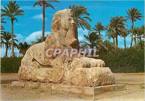 Cartes postales moderne Giza The Sphinx of Sakkara