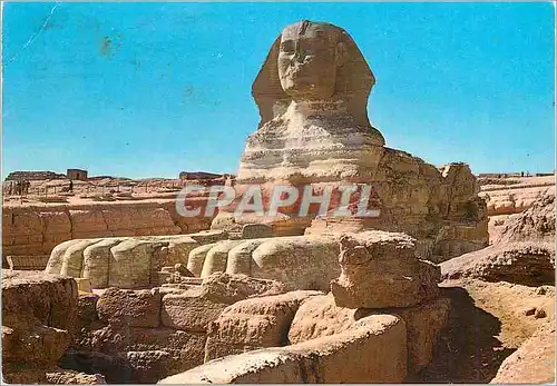 Cartes postales moderne Giza The Sphinx