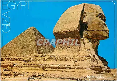 Cartes postales moderne Guizeh Le Sphinx