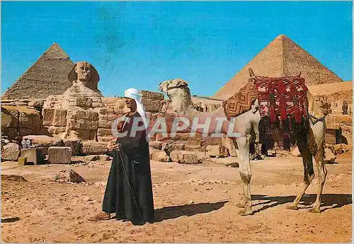 Moderne Karte Giza The Sphinx and the Pyramid