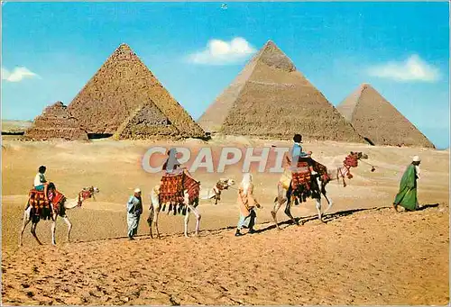 Cartes postales moderne Tourists near Pyramids of Giza