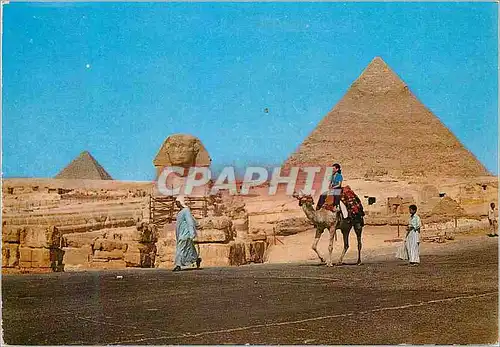 Cartes postales moderne Giza The Great Sphinx and Khefreh pyramid
