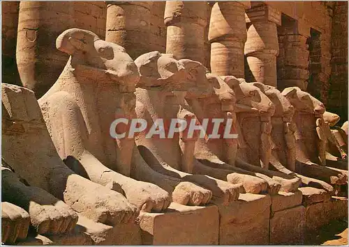 Moderne Karte Karnak The Famous sphinx avenue at Amon Temple