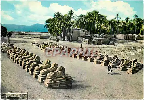 Cartes postales moderne Karnak L Allee des Sphinx