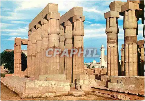 Moderne Karte Papyrus Columns in Luxor Temple
